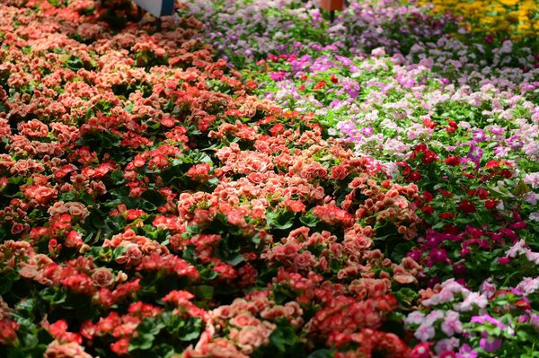 Mobile musical pour bébé : conseils pour trouver le modèle adéquat