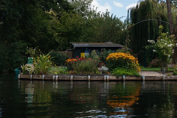 Comment bien planifier le déménagement de vos plantes d'intérieur