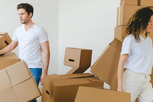 Conservation optimale avec un garde manger en bois